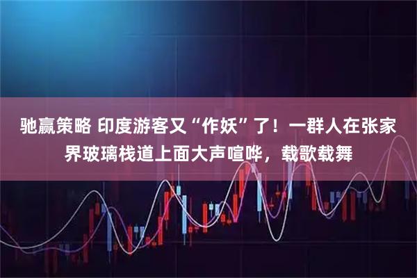 驰赢策略 印度游客又“作妖”了!一群人在张家界玻璃栈道上面大声喧哗,载歌载舞